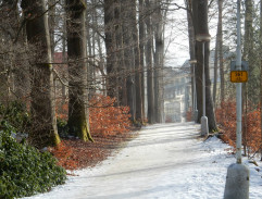 Od vraždy jenom krok ke lži