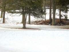 Od vraždy jenom krok ke lži