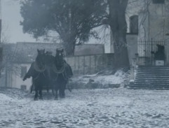 Stěhování Doušových