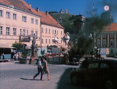 Nejstarší ze všech vrabců