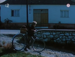 Nejstarší ze všech vrabců