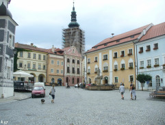 Nejstarší ze všech vrabců