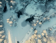 Zasněžená silnice