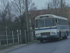 Autobus