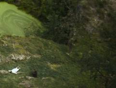 Mrtvý Markvart z Vartemberka