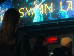 Reklamní obrazovka Swan Lake