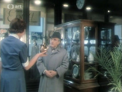 Případy pana Janíka