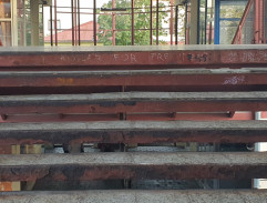 Elis a Leo přichází na odpověď úkolu