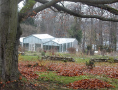 Schůzka pod stromem