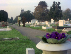 Za vším hledej ženu 