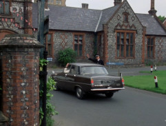 Starý pes se novým kouskům nenaučí 