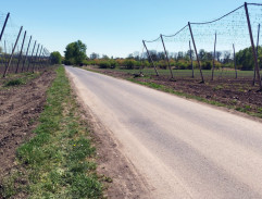Stvůry