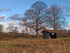 Der Lebensborn - Pramen života