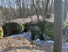 S03E07 Bláznovo zlato