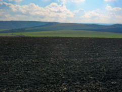 S02E07 Svatba plná překážek