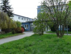 Před závodem Tesla