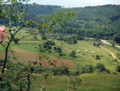 Tři krtci pod Prahou