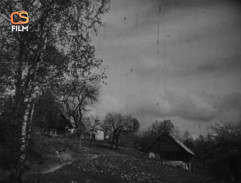 Vesnička