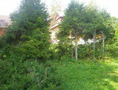 chalupa Karolovej babky