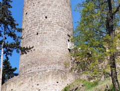 Johanka na zřícenině