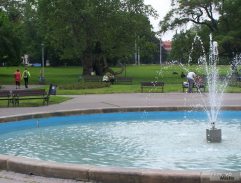 Liška, Zemánek jako malí kluci