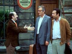 Liška, Zemánek vycházejí z nápravného zařízení