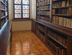 V knihovně filosofické fakulty MU