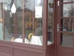 Burák ve své zastavárně