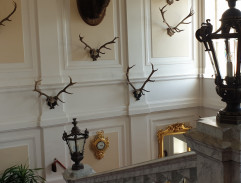 13. Narodil sa Kristus Pán