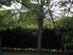 U kiosku s občerstvením