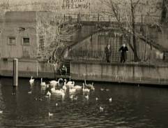 Rozhovor Damiela a Cassiela