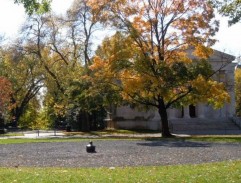 John Nash sleduje pohyb holubů