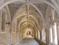 Rozhovor s profesorem