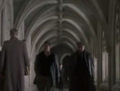 Rozhovor s profesorem