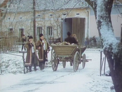 Dům Froliša Puchýřa