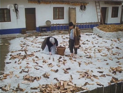 Dvůr kovárny Obrůčkových II