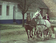 Jura Mrňús na povoze