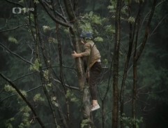 David sundavá draka ze stromu