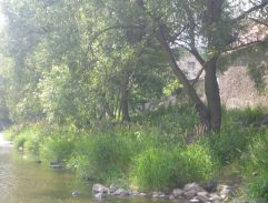 My tři a pes z Pětipes