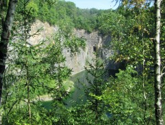 My tři a pes z Pětipes