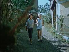 My tři a pes z Pětipes