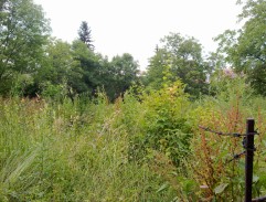 Dům novináře Skopového 2