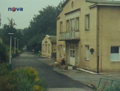 veterinárna stanica