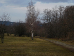 Odvádění pachatele