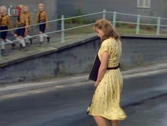 Zamřížovaný charleston