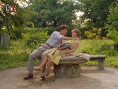 Zamřížovaný charleston