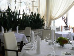 Dědictví aneb Kurvahošigutntag