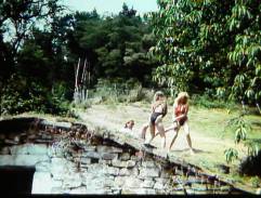 Sklípek na zahradě