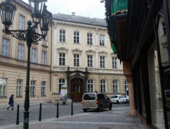 Naftalínová baletka