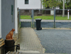 Dvůr Ády Větvičky